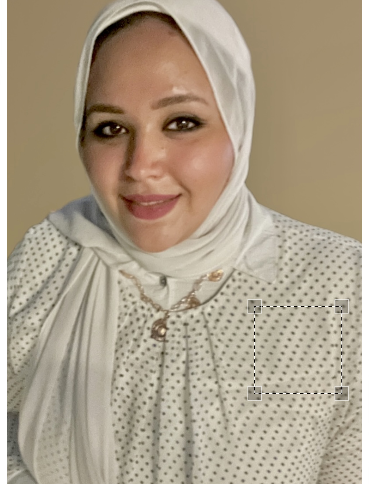 Candidate Image